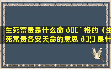 生死富贵是什么命 🌴 格的（生死富贵各安天命的意思 🦍 是什么）